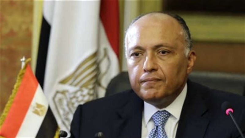 سامح شكري وزير الخارجية