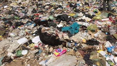 القمامة تحاصر أهالي «مسهلة» بالغربية والأهالي يستغيثون بالمحافظ