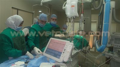 بالفيديو والصور.. أول عمليات قسطرة مخية بالصعيد في جامعة أسوان