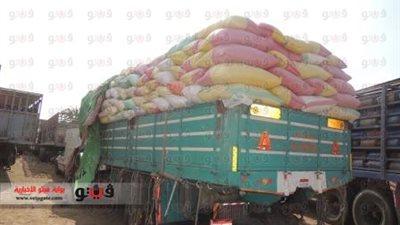 بالفيديو.. ضبط 2.8 طن أرز فاسد بالفيوم