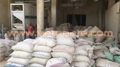 بالصور.. الحكومة تحاصر «حيتان الأرز».. مداهمة «112 مضربا» تكشف تخزين 5 آلاف طن «أرز»..«الشرقية والبحيرة» أكثر المحافظات تخبئة للسلعة..الداخلية: لن نسمح بالهيمنة