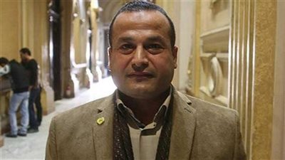 «برلماني» عن فيديو إزالة أسفلت طريق البحيرة: تكلف 3 ملايين جنيه