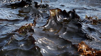 «جنوب الوادى» تخطط لإنتاج النفط الخام من الصخور والطفلة