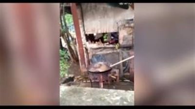 بالفيديو.. لقطات صادمة للحظة طهي كلب في الماء المغلي بالصين