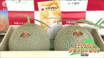 بيع بطيختين في اليابان بـ30 ألف دولار (فيديو)