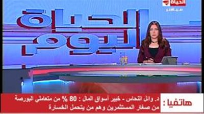 بالفيديو.. خبير مالي: التلاعب وراء خسارة البورصة 80 مليار جنيه