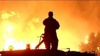 بالفيديو.. حريق يلتهم الغابات والمراعي باليونان