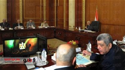 أستاذ جامعي: 10 تساؤلات يثيرها «الأقصى للأجور»