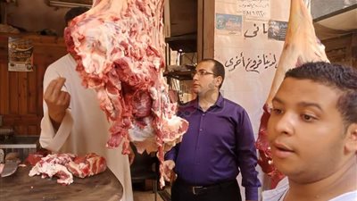 ضبط 1.5 طن لحوم منتهية الصلاحية في القليوبية (صور)