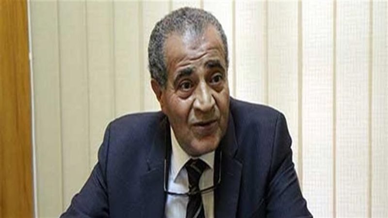 الدكتور على المصيلحى