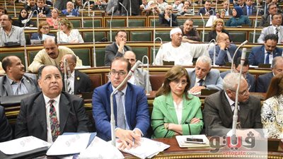 برلماني: «التأمين الصحي حلم».. و«عبدالعال»: «الكارت الذكي الحل»