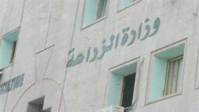 بروتوكول بين 