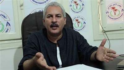 نقيب الفلاحين: كيلو الطماطم يصل إلى 20 جنيها قريبا