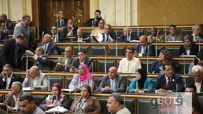 «النواب» يوافق على إعادة تنظيم المجلس الأعلى للثقافة