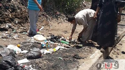 بالصور.. استكمال حملات النظافة والتجميل بطريق «المحلة - طنطا»