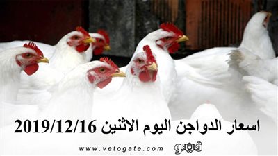 اسعار الدواجن اليوم الاثنين 2019/12/16