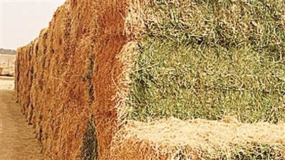 استمرار رسم الصادر على بعض أصناف مكونات الأعلاف