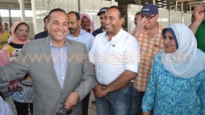 «القصاص» يخصص مساحة لبيع الماشية في سوق «قنطرة الإسماعيلية»