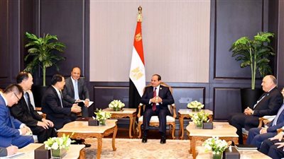 تفاصيل لقاء السيسي والمدير العام للوكالة الدولية للطاقة الذرية