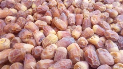 10 أنواع من التمور تشتهر بهم الوادي الجديد.. والمجدول بــ 120 جنيها للكيلو 