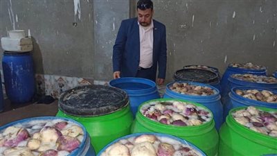 ضبط 6 أطنان مخللات غير صالحة للاستخدام الآدمي بالقليوبية