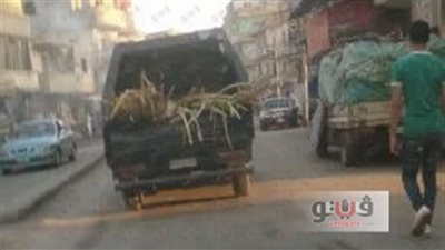 بالصور.. سيارة شرطة تحمل «قصب» تثير ضجة على مواقع التواصل