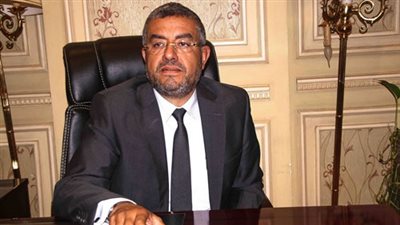 برلماني: مصر تعتبر فلسطين قضيتها الأولى