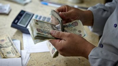 التخطيط: استمرار تراجع معدل التضخم ليصل إلى 12.9% في أبريل