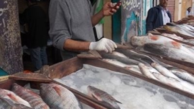 تباين أسعار الأسماك اليوم.. والبلطي بـ24 جنيها بسوق الجملة