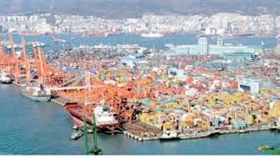 رضا لاشين: خفض الجمارك الصينية يدعم الصادرات المصرية