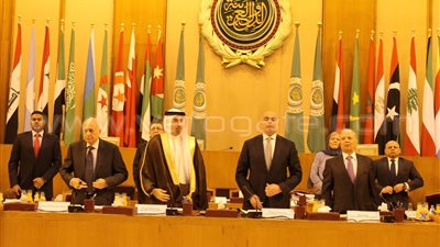 مندوب مصر بالأمم المتحدة: الدول العربية تعاني من النزاعات التاريخية