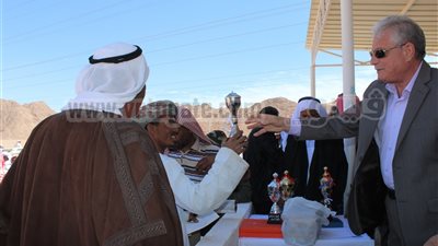 تكريم الفائزين فى سباق الهجن بـ 