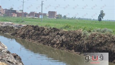 بالصور.. محافظ كفر الشيخ يوجه بتطهير المصارف التابعة للزراعة