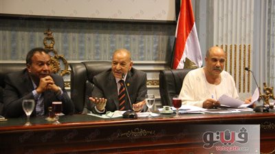 «زراعة البرلمان» تطالب بالتحقيق في إهدار 80 مليونا لتغطية الترع