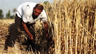 بالصوت.. شكوى المزارعين من عدم وصول مياه الري إلى ترعة القنطرة