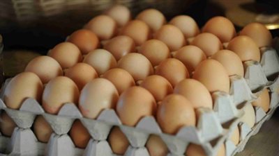 جنيهان زيادة جديدة في أسعار كرتونة البيض