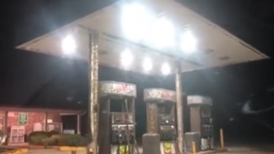 آلاف الحشرات تغطي محطة وقود وتثير ذعر عائلة (فيديو)