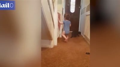 رد فعل طفل فشل في الجلوس على مقعد للدمى (فيديو وصور)