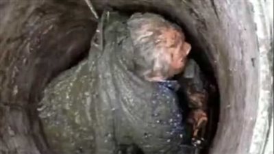 عجوز تسقط في حفرة طينية أثناء جمعها الزهور (فيديو وصور)