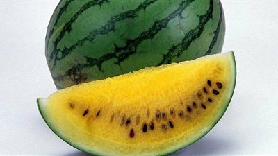 البطيخ الأصفر صيدلية مميزة للوقاية من الأمراض الصيفية