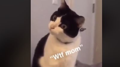 رد فعل غير متوقع لقطة وضعت صاحبتها «ماسك» على وجهها (فيديو)