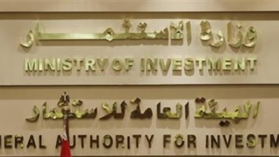 تنفيذى ريادة الأعمال: الاستثمار تسعى لخدمة أصحاب المشروعات الصغيرة