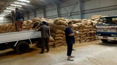 توريد 163 ألف طن من القمح في صوامع قنا