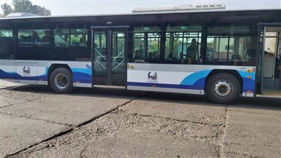 شعراوي: الحكومة تسعى لتوفير وسائل نقل صديقة للبيئة 