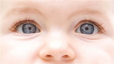 مرض المياه الزرقاء في العين | 9 معلومات عن المرض أبرزها التسبب في العمى