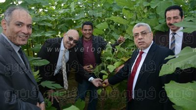 لأول مرة بجامعة طنطا.. إنتاج 