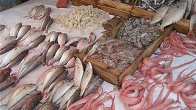 استقرار أسعار الأسماك.. والبلطي يسجل 19 جنيها