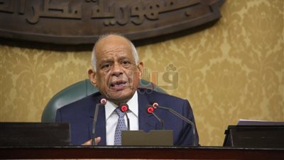 عبد العال: محاصرة الإرهاب والحفاظ على الدولة من أبرز إنجازات السيسي