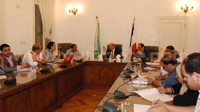 محافظ الجيزة: إضاءة الإعلانات بالطاقة الشمسية لتخفيف الأحمال