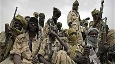 جنوب كردفان تنفي تعرض مناطق بالولاية لهجوم المتمردين